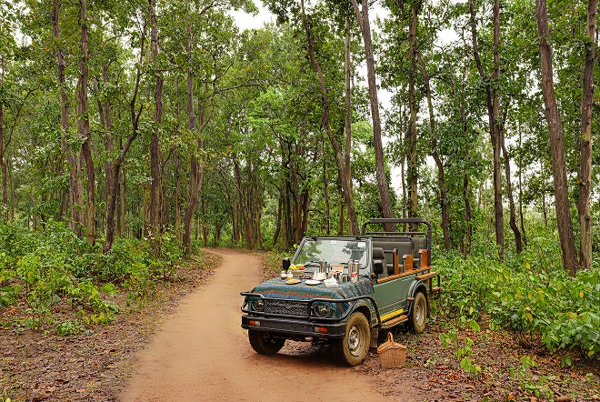 Safari jeep April to June