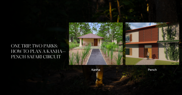 One Trip, Two Parks: How to Plan a Kanha–Pench Safari Circuit
