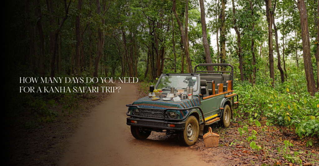 How Many Days Do You Need for a Kanha Safari Trip?