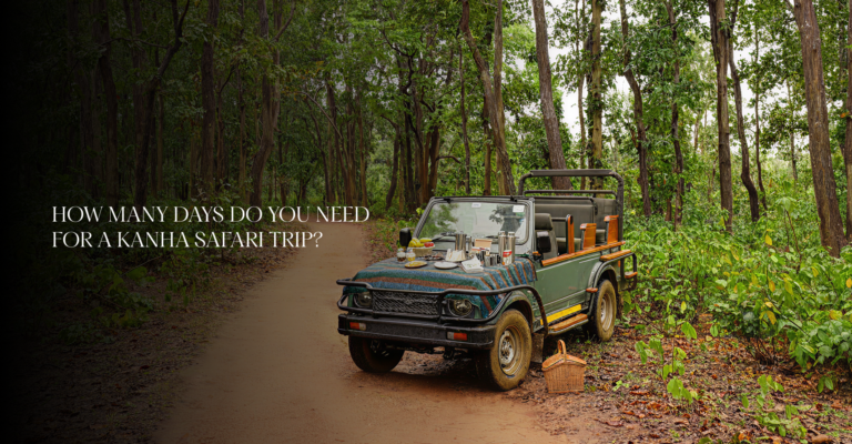 How Many Days Do You Need for a Kanha Safari Trip?